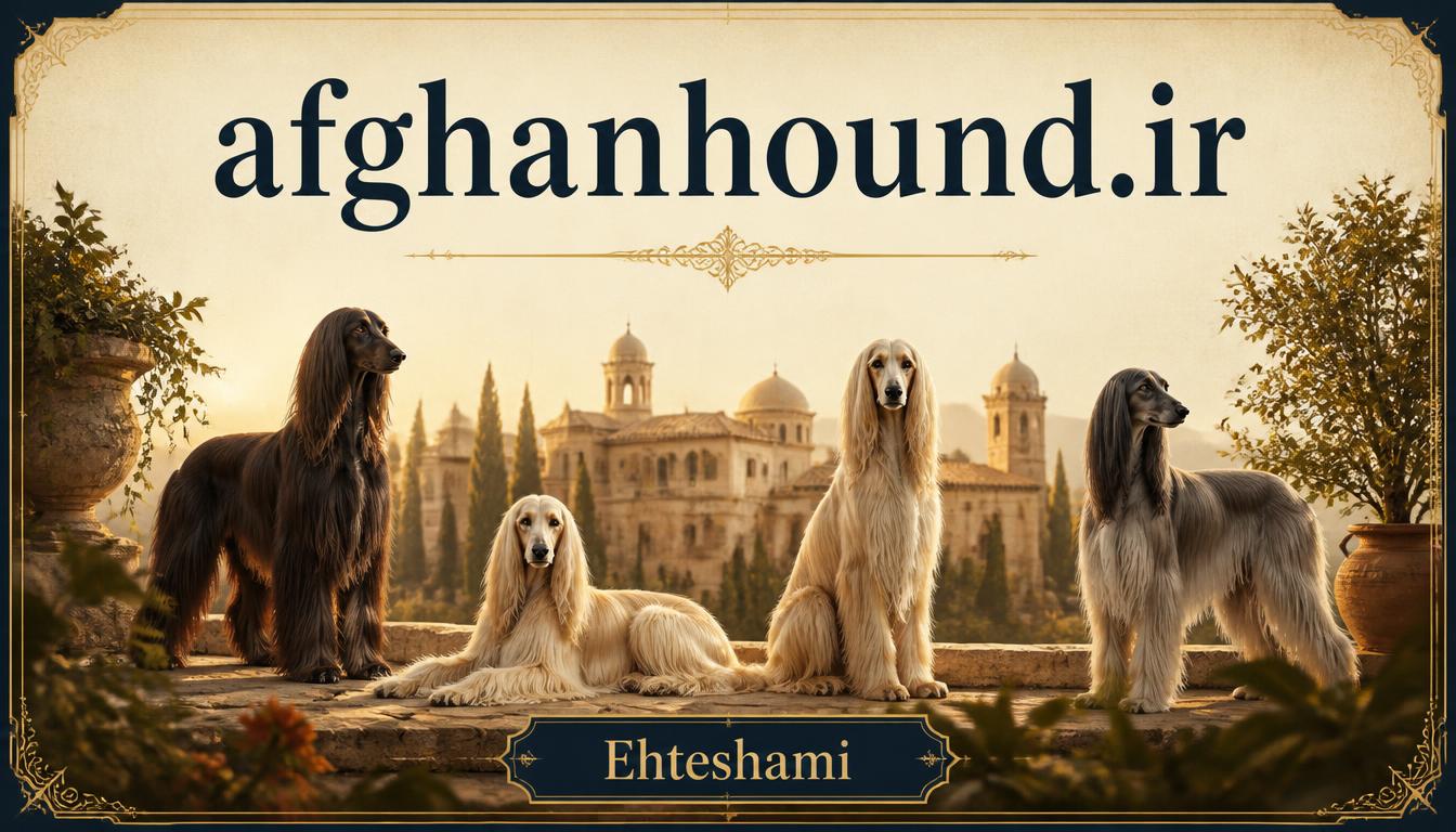 afghanhound.ir