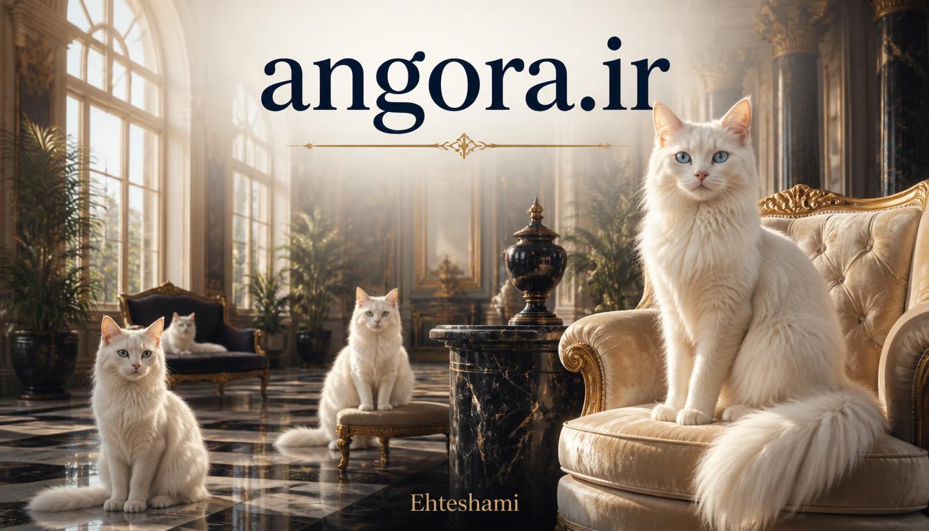angora.ir