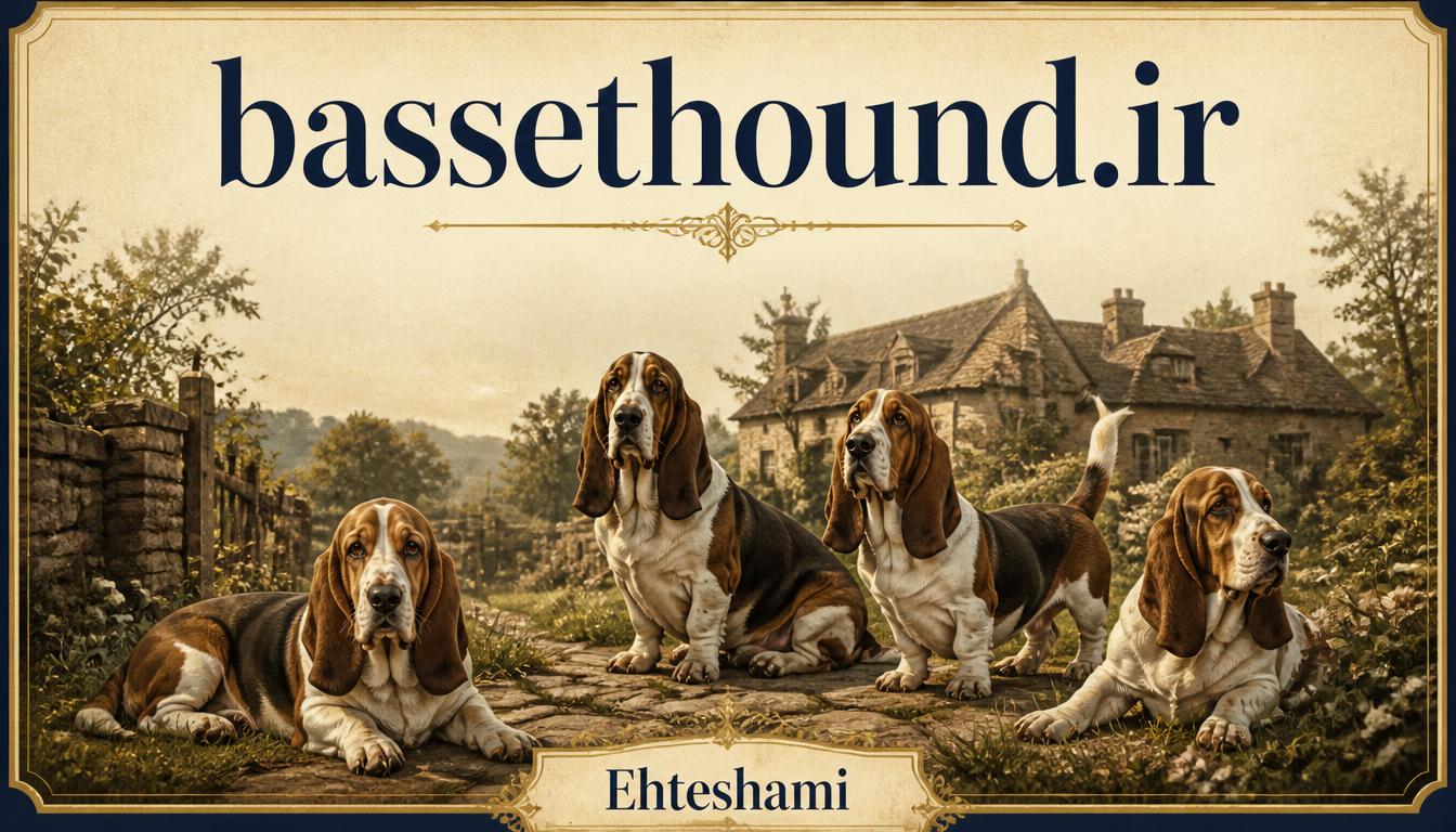 bassethound.ir