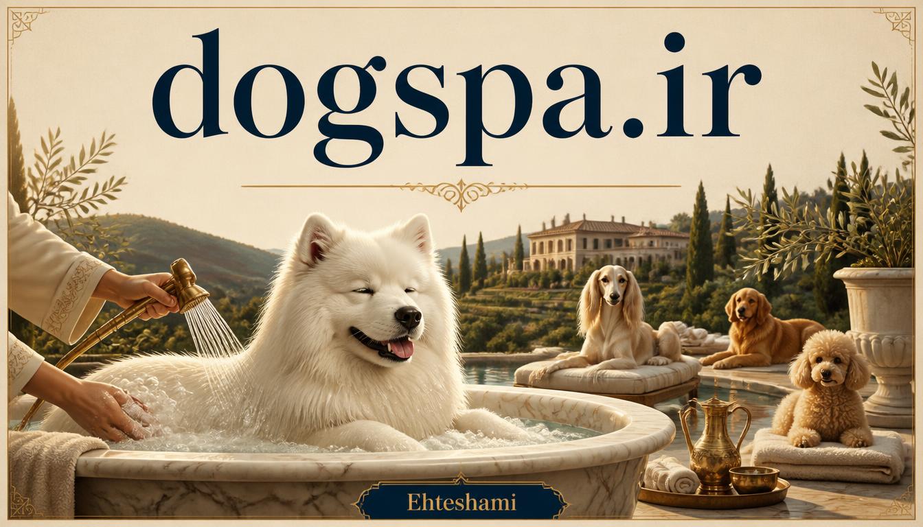 dogspa.ir