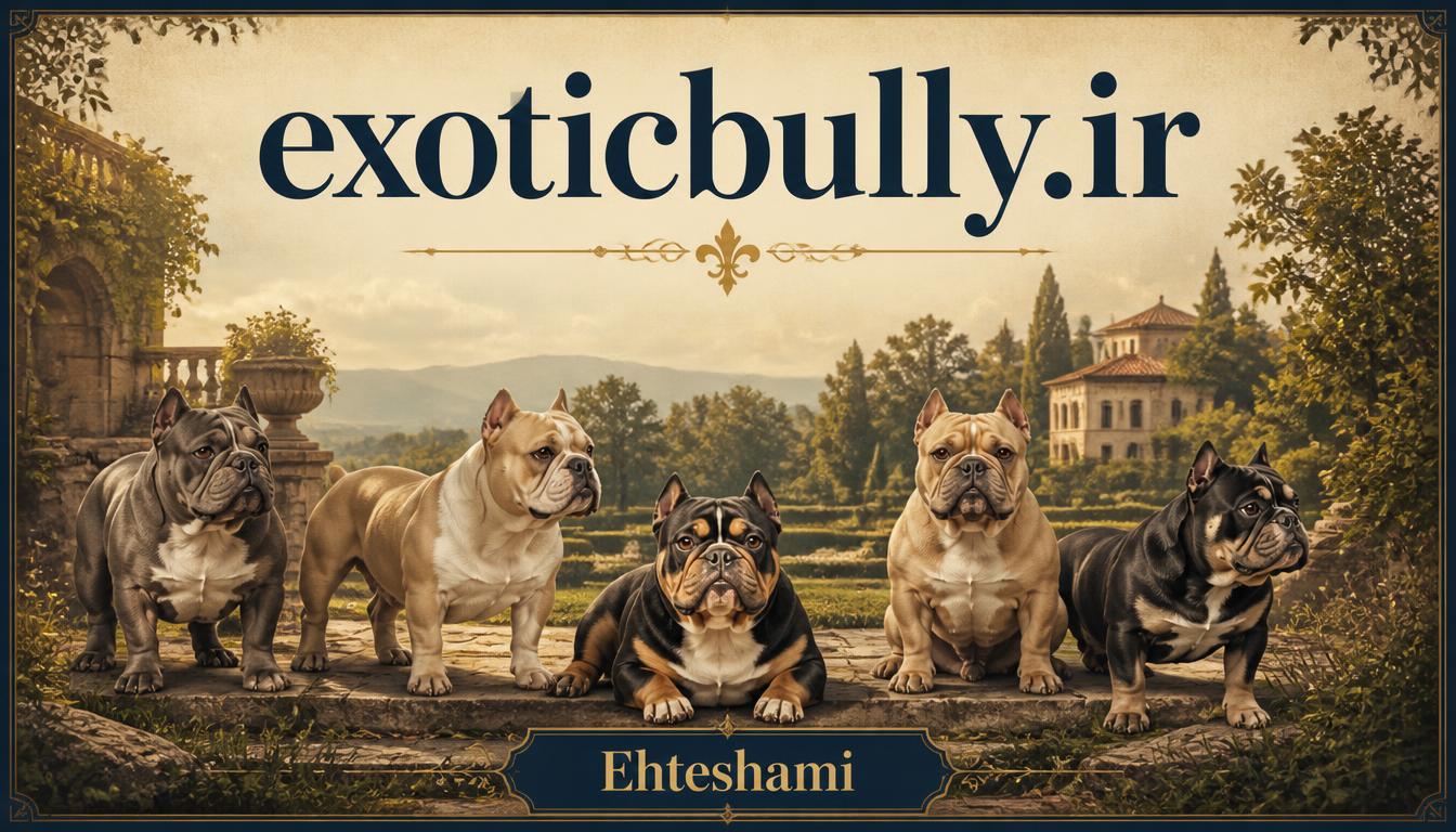 exoticbully.ir