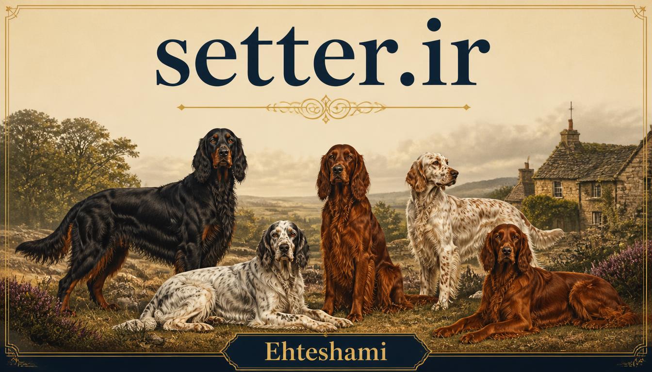 setter.ir